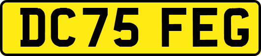 DC75FEG