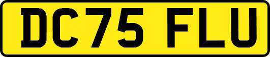 DC75FLU