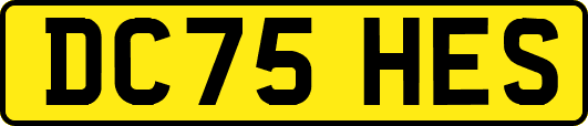 DC75HES