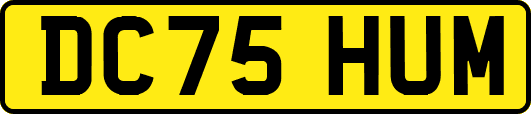 DC75HUM