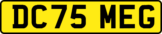 DC75MEG