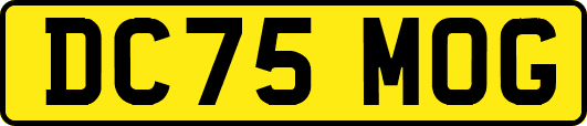 DC75MOG