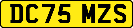 DC75MZS