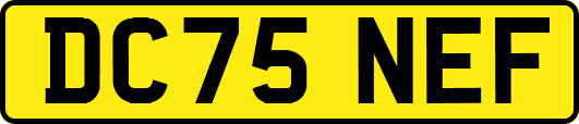DC75NEF