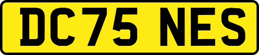 DC75NES