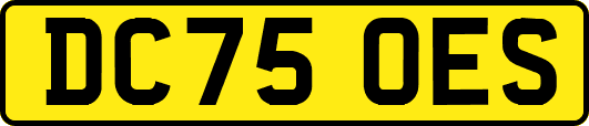 DC75OES