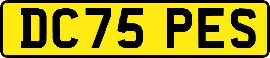 DC75PES