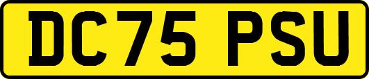 DC75PSU