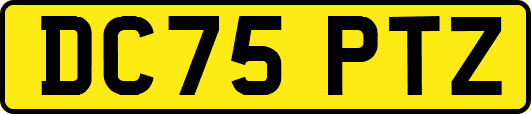 DC75PTZ