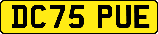 DC75PUE