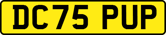 DC75PUP