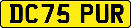 DC75PUR