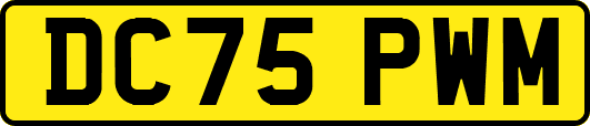 DC75PWM