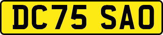 DC75SAO