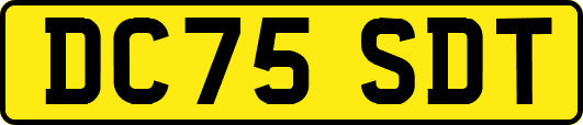 DC75SDT