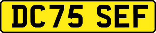 DC75SEF