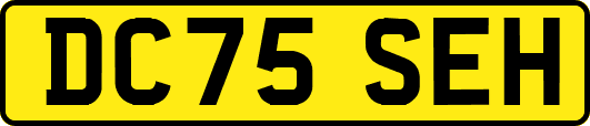 DC75SEH