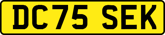 DC75SEK
