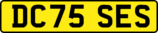 DC75SES