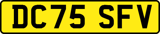 DC75SFV