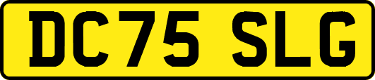 DC75SLG