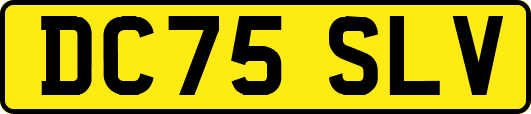 DC75SLV
