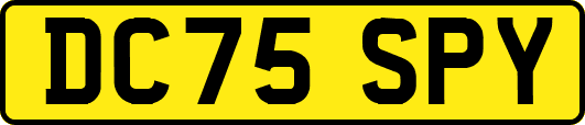 DC75SPY