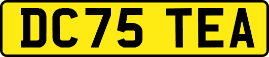 DC75TEA