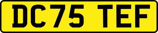 DC75TEF
