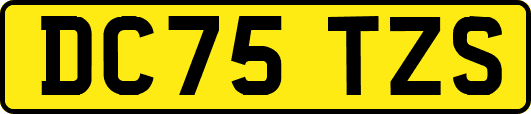 DC75TZS