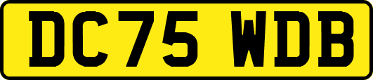 DC75WDB