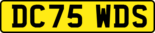 DC75WDS