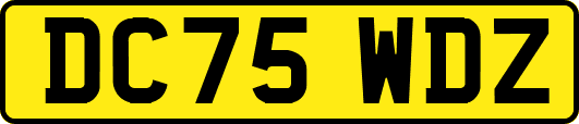 DC75WDZ