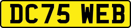 DC75WEB