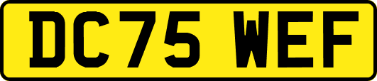 DC75WEF