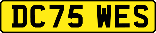 DC75WES