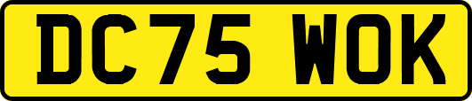 DC75WOK