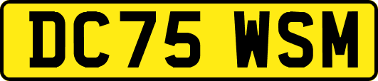 DC75WSM