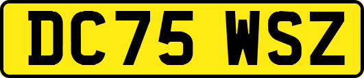 DC75WSZ