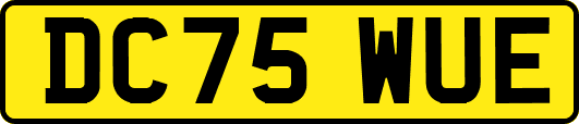 DC75WUE