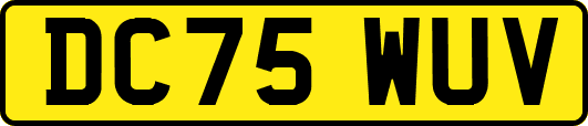 DC75WUV