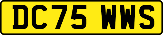 DC75WWS