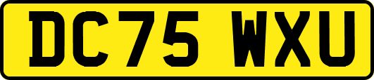 DC75WXU