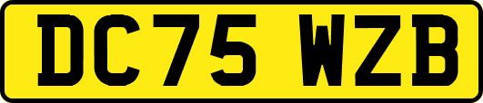 DC75WZB