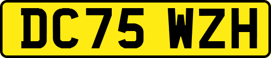 DC75WZH