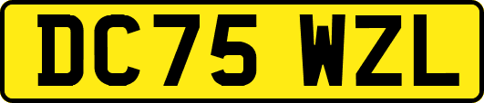 DC75WZL
