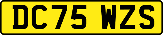 DC75WZS