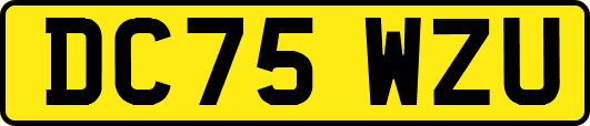 DC75WZU