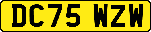 DC75WZW