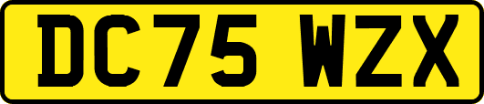 DC75WZX